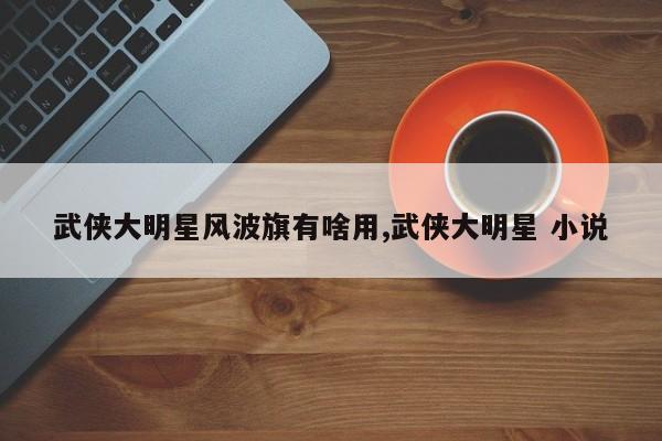 武侠大明星风波旗有啥用,武侠大明星 小说
